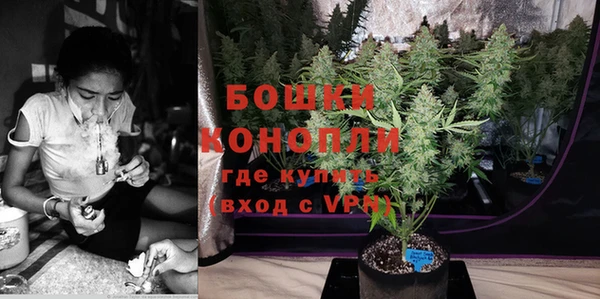 стаф Белоозёрский