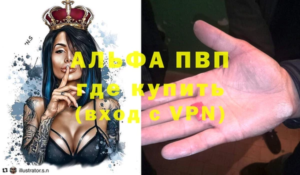 spice Белокуриха