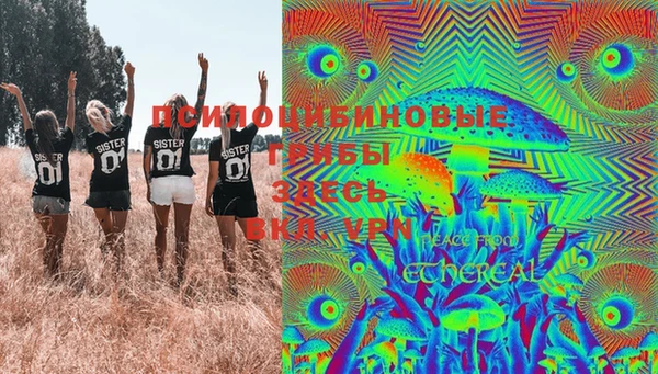 стаф Белоозёрский