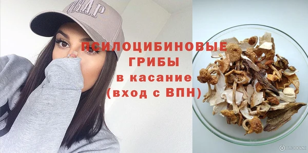 spice Белокуриха