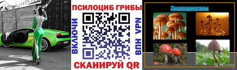 Галлюциногенные грибы прущие грибы даркнет сайт мориарти клад Братск