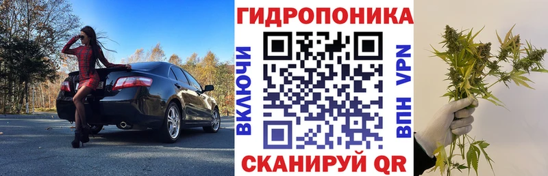 МАРИХУАНА MAZAR  ссылка на мегу зеркало  Братск  сколько стоит 